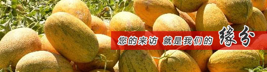 全自動(dòng)端子機(jī)