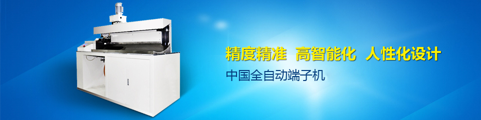 瑞揚(yáng)全自動(dòng)端子機(jī)